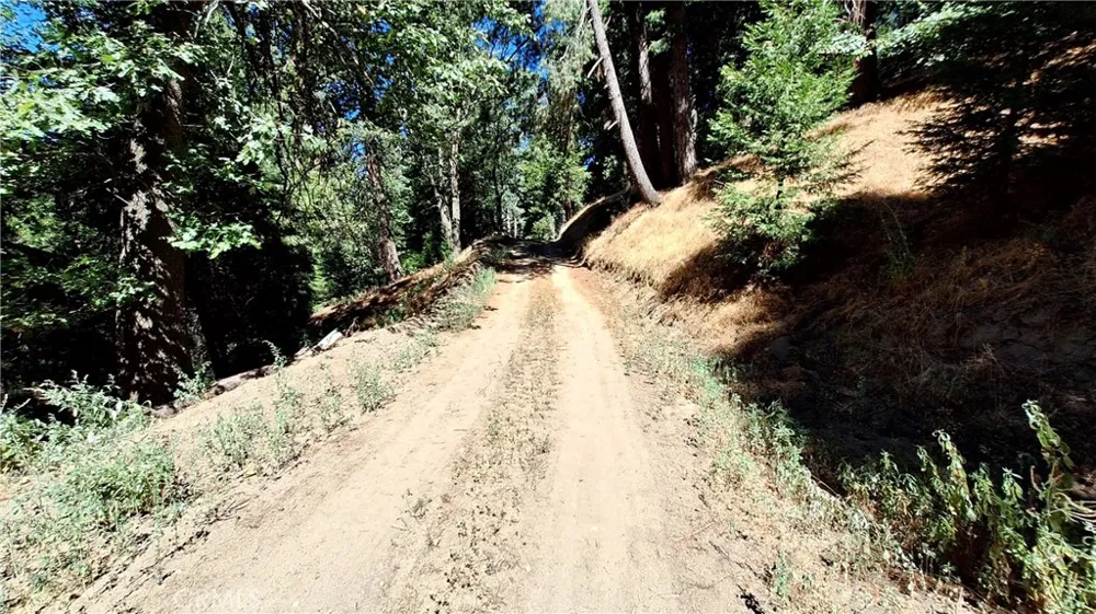 El Valle Cedarpines Park, CA 92322