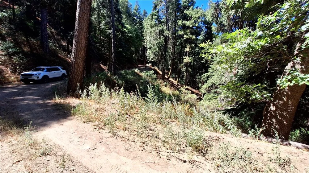 El Valle Cedarpines Park, CA 92322