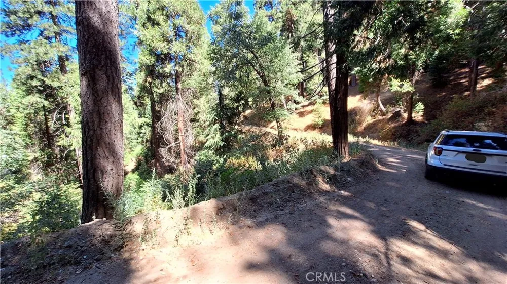 El Valle Cedarpines Park, CA 92322