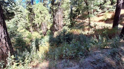 El Valle
