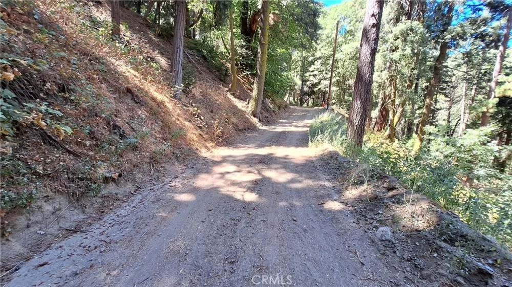 El Valle Cedarpines Park, CA 92322