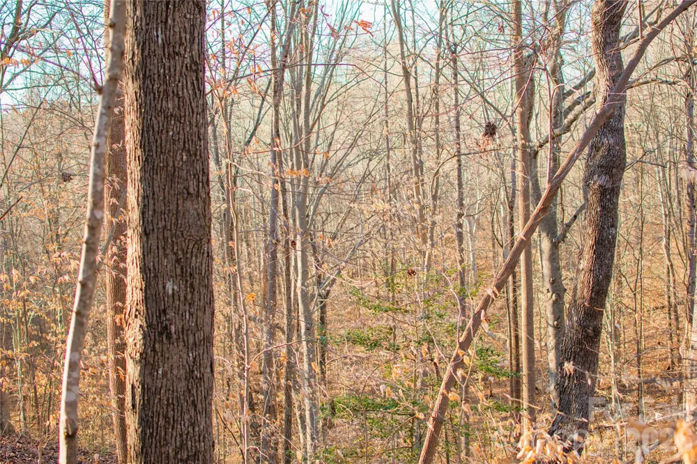 0 Windbluff Court #161 Statesville, NC 28677
