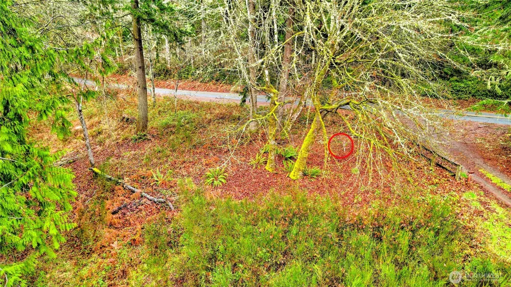 18813 & 18815 74th Street SW Longbranch, WA 98351