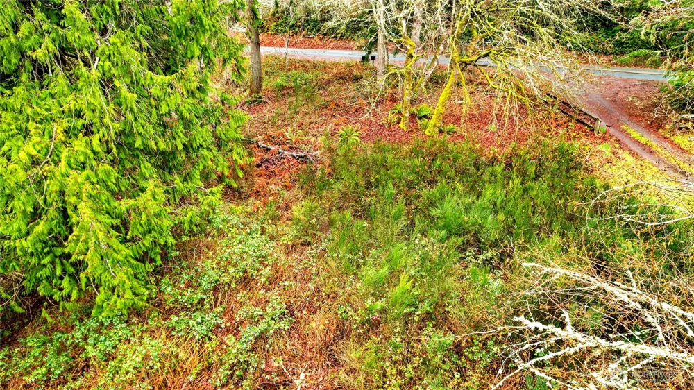 18813 & 18815 74th Street SW Longbranch, WA 98351