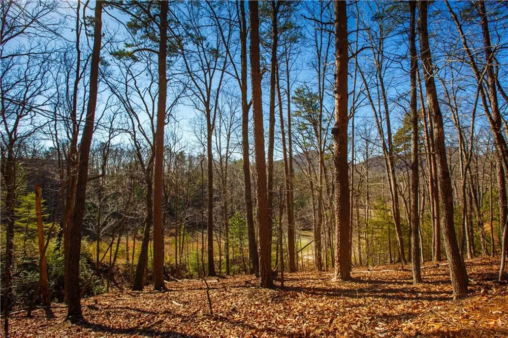2784 Summit Drive Big Canoe, GA 30143