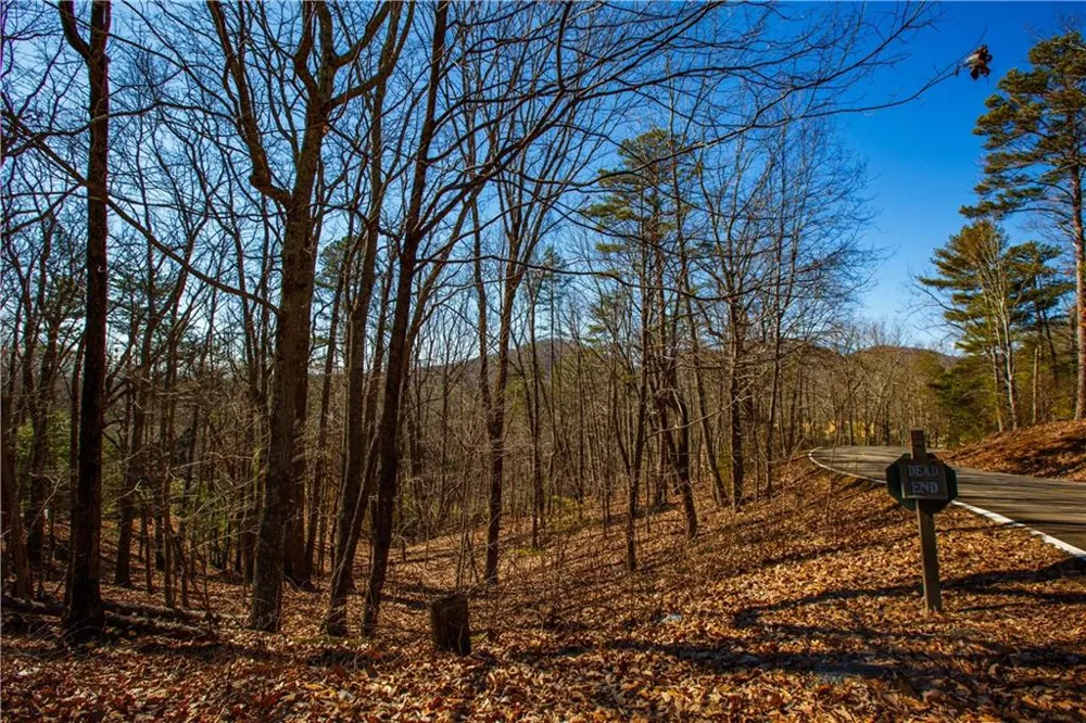 2784 Summit Drive Big Canoe, GA 30143