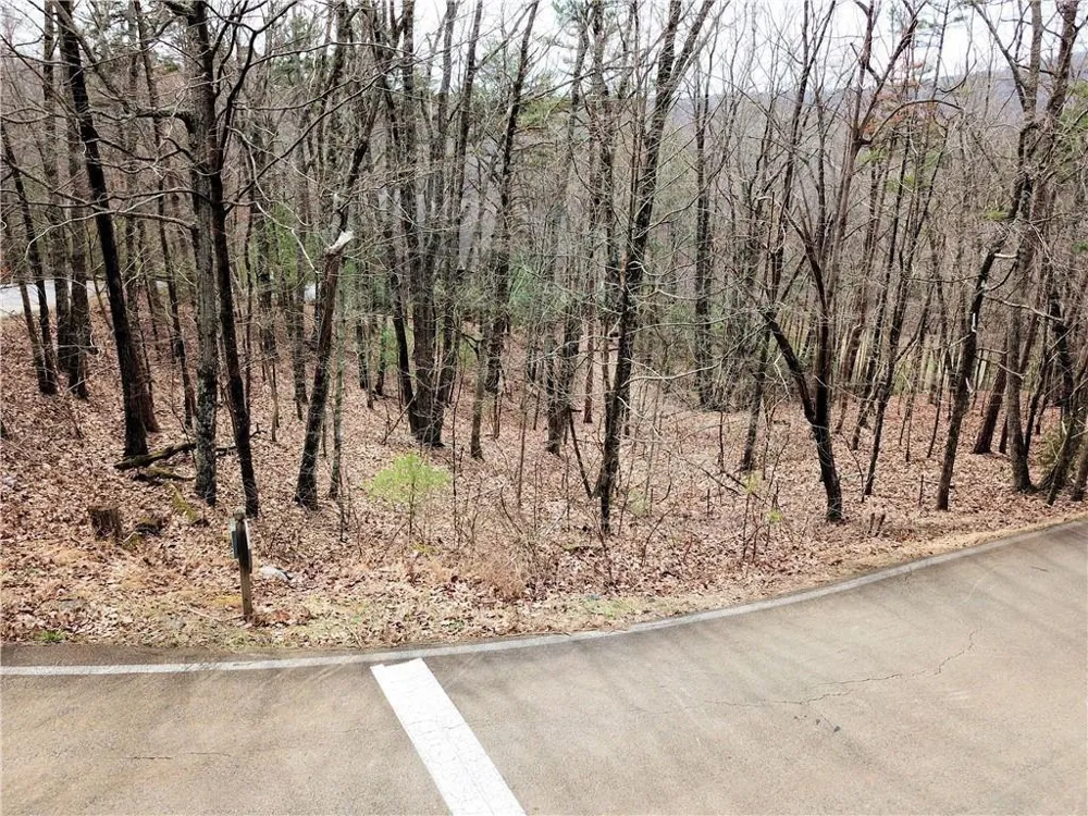 2784 Summit Drive Big Canoe, GA 30143