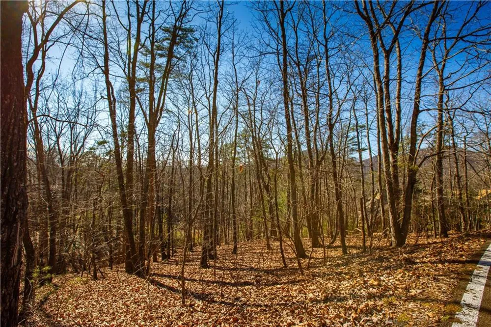 2784 Summit Drive Big Canoe, GA 30143