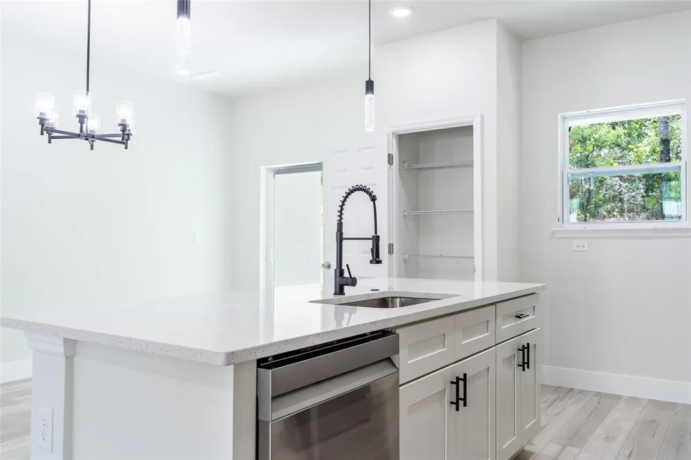 10955 DRAGONIS DRIVE Citrus Springs, FL 34433