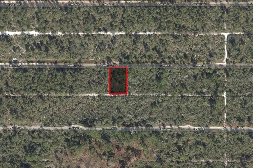 533 PARROT AVENUE Sebring, FL 33872