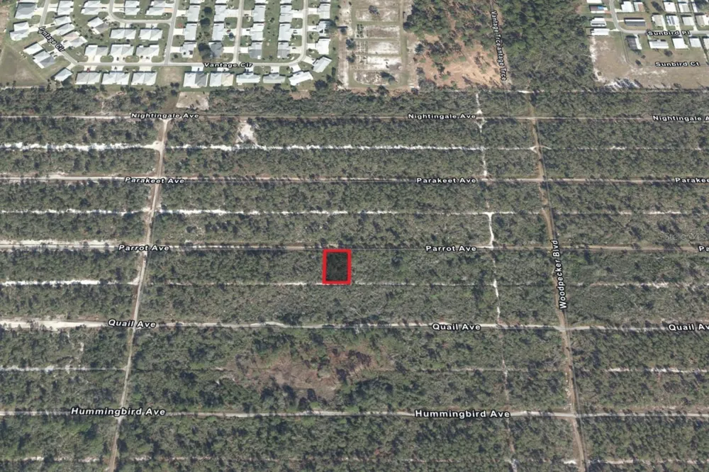 533 PARROT AVENUE Sebring, FL 33872