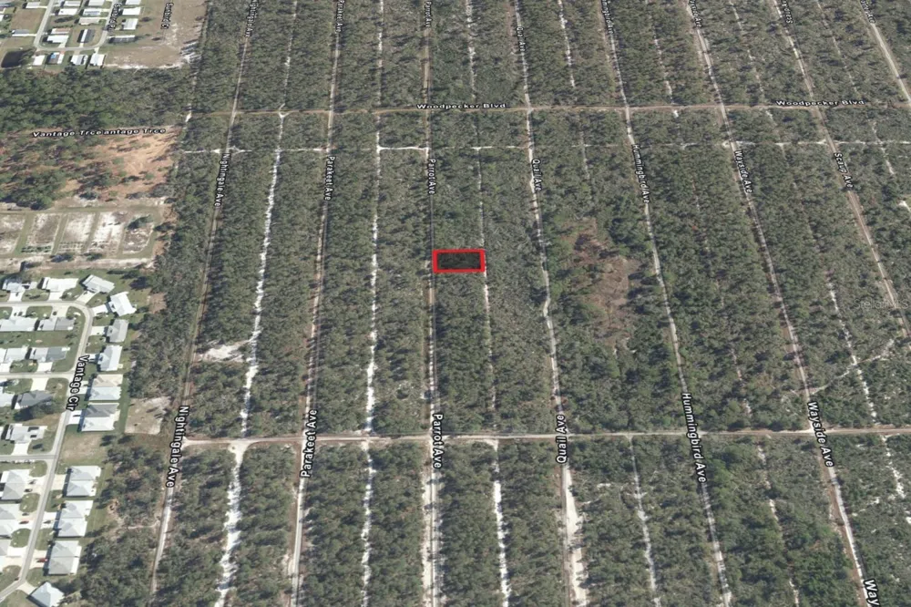 533 PARROT AVENUE Sebring, FL 33872