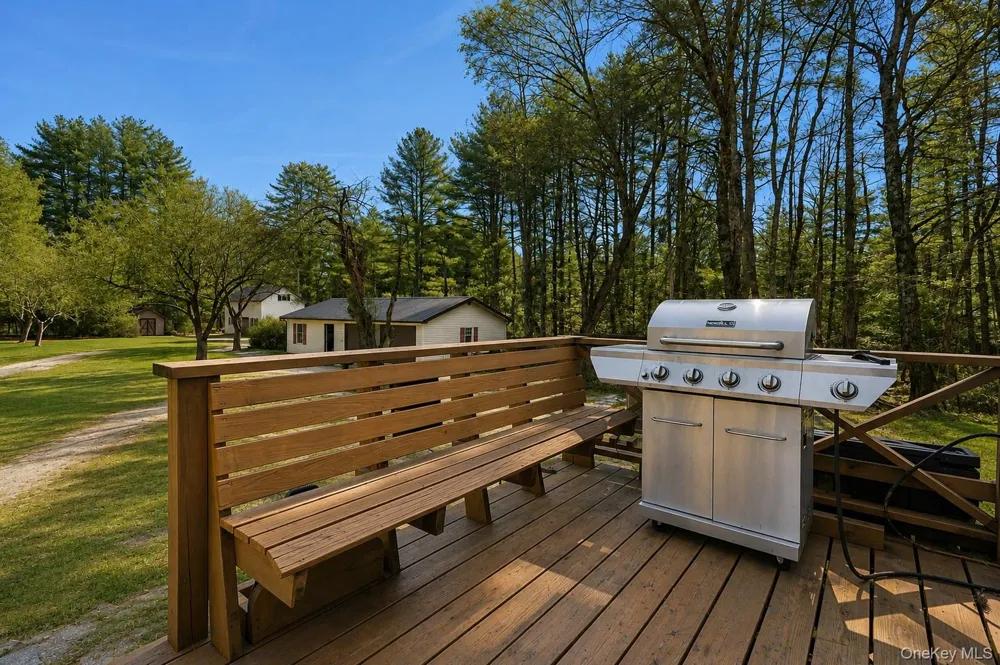 37 Nober Strunk Road Narrowsburg, NY 12764