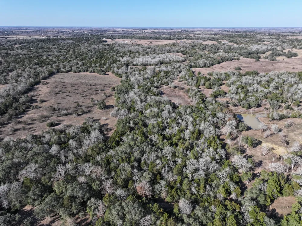 1505 McElroy Lane No City, TX 78950