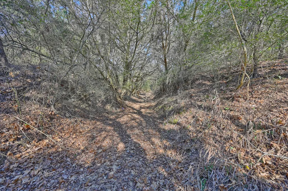 1505 McElroy Lane No City, TX 78950