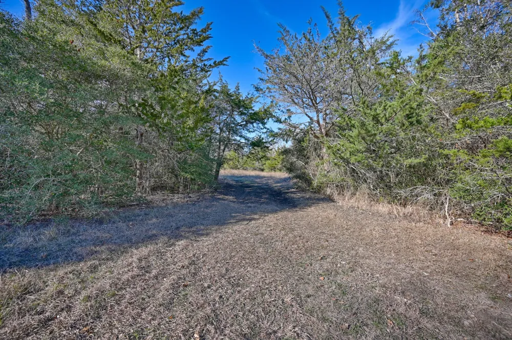 1505 McElroy Lane No City, TX 78950
