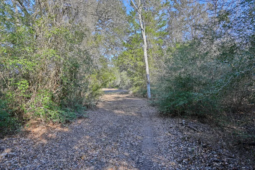 1505 McElroy Lane No City, TX 78950