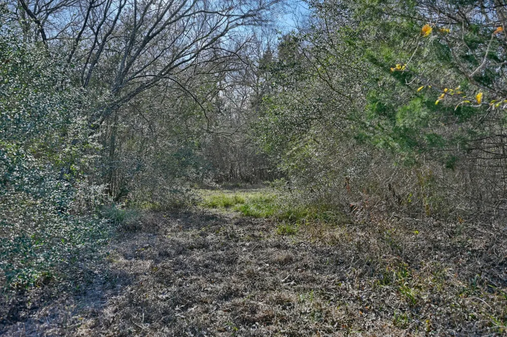 1505 McElroy Lane No City, TX 78950