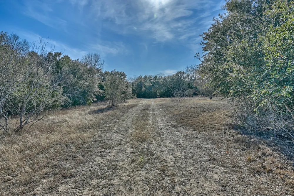 1505 McElroy Lane No City, TX 78950