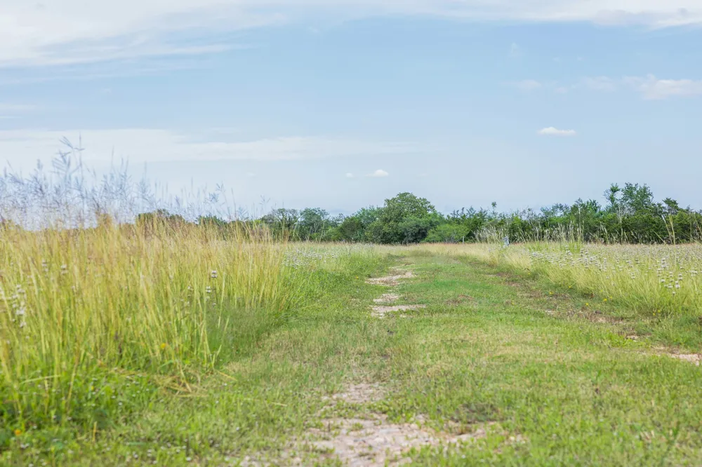 1505 McElroy Lane No City, TX 78950