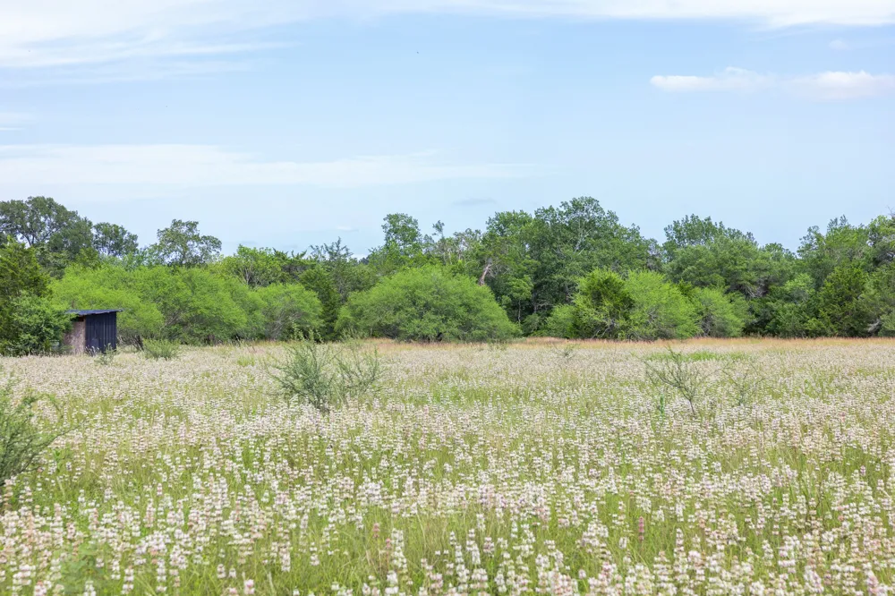 1505 McElroy Lane No City, TX 78950