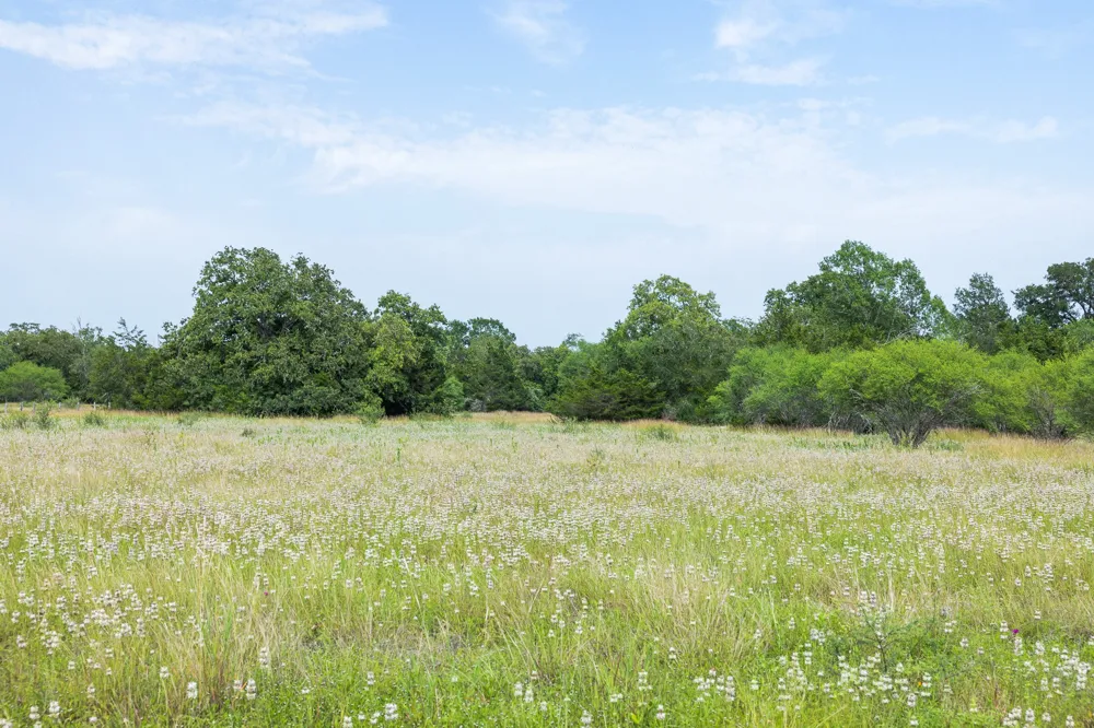1505 McElroy Lane No City, TX 78950