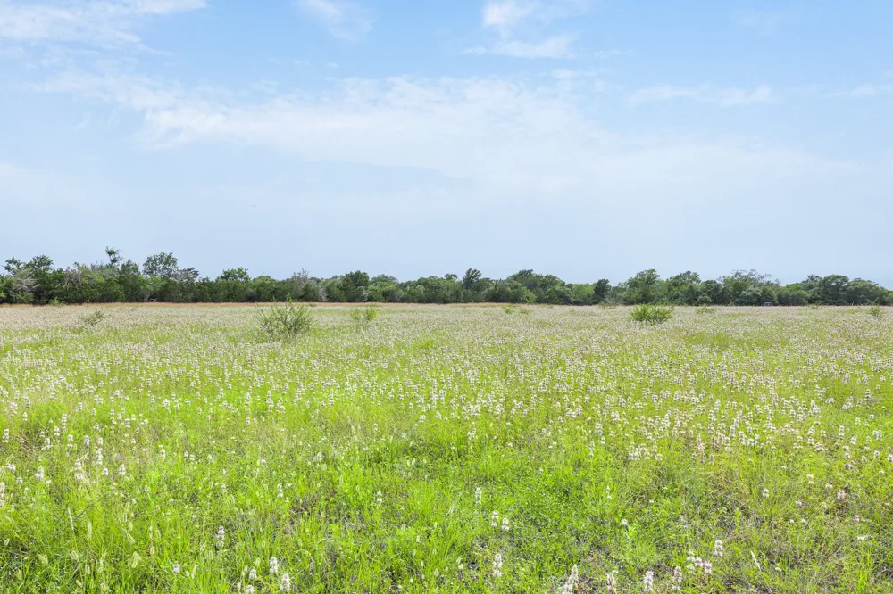 1505 McElroy Lane No City, TX 78950