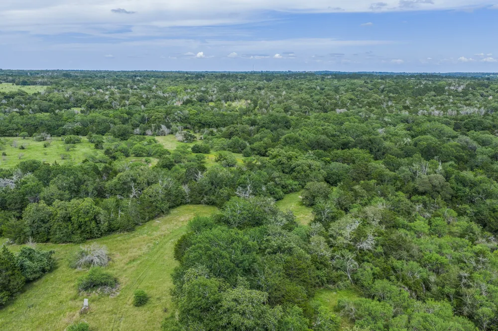 1505 McElroy Lane No City, TX 78950