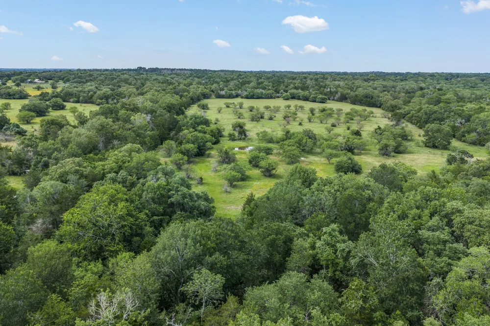 1505 McElroy Lane No City, TX 78950