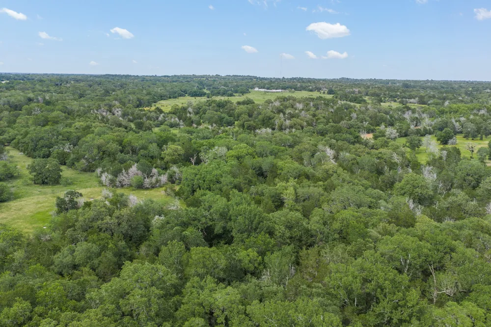 1505 McElroy Lane No City, TX 78950