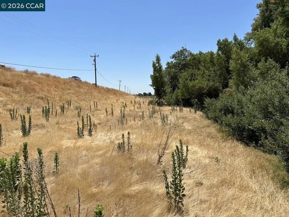Bradford Island Rd Oakley, CA 94561