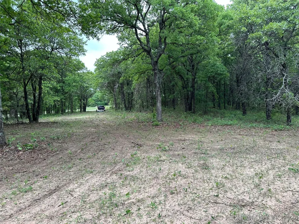 State Highway 76 Wilson, OK 73463