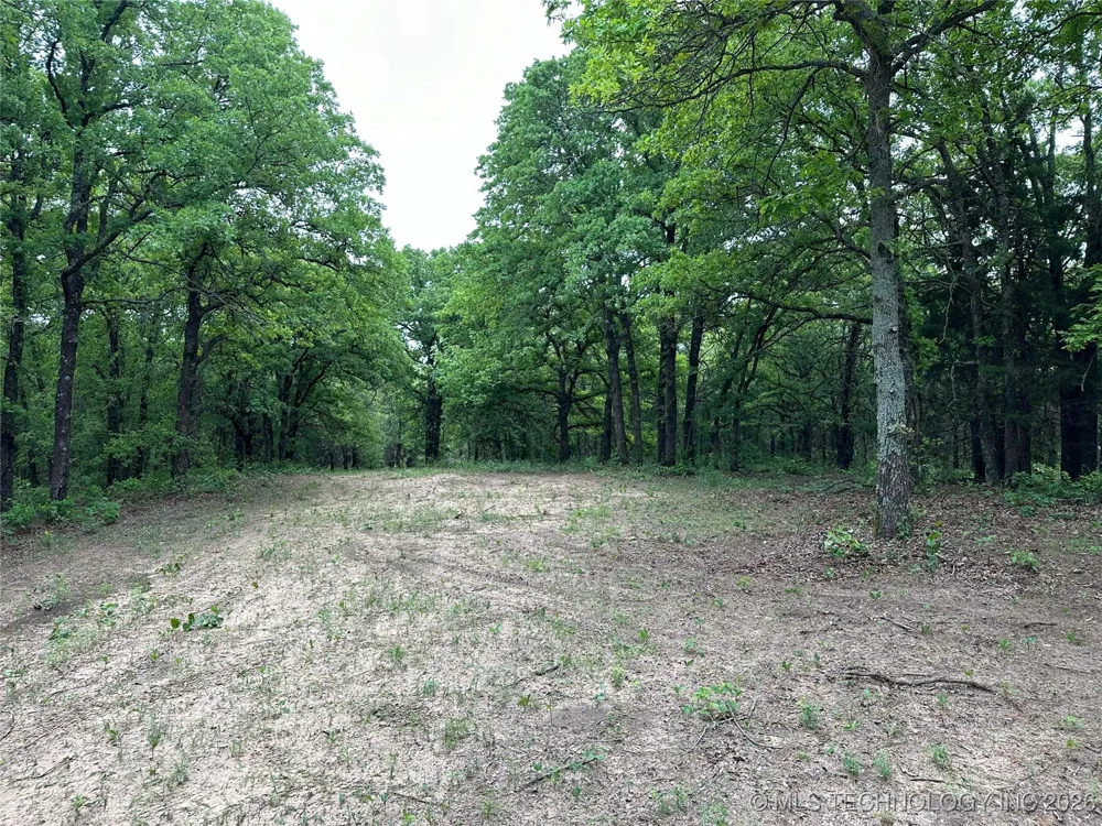State Highway 76 Wilson, OK 73463