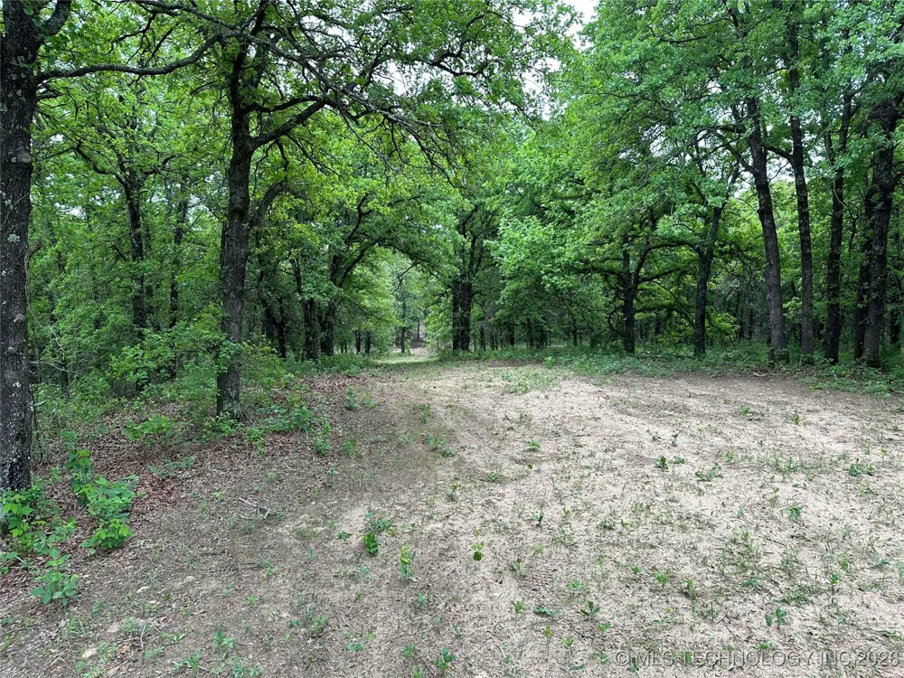 State Highway 76 Wilson, OK 73463