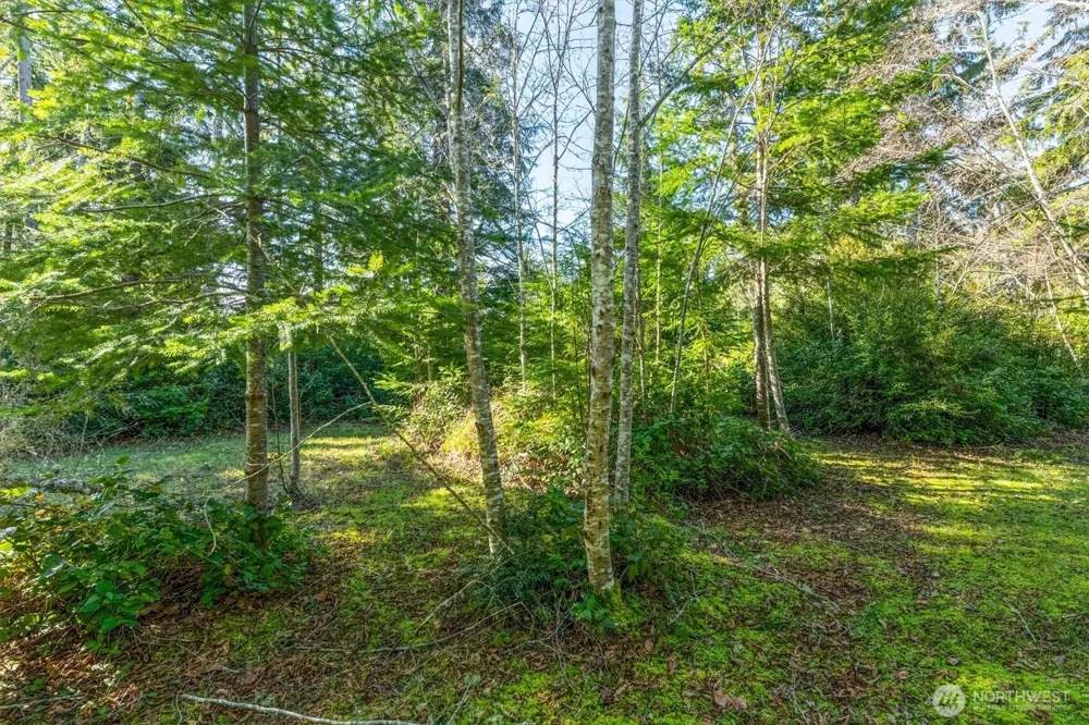 21333 Birch Place Ocean Park, WA 98640