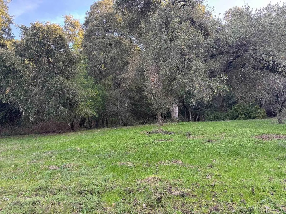 250 Heacox Woodside, CA 94062