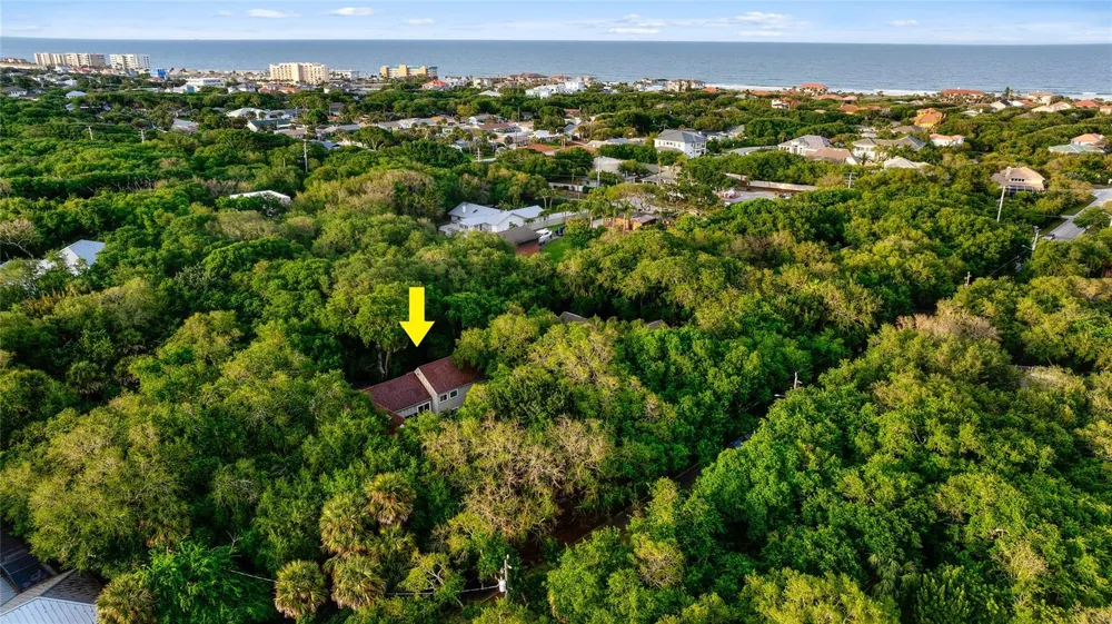 120 BEACH STREET Ponce Inlet, FL 32127