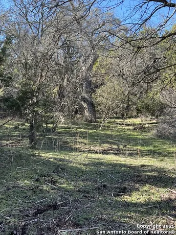 43 Woodacre Dr Wimberley, TX 78676