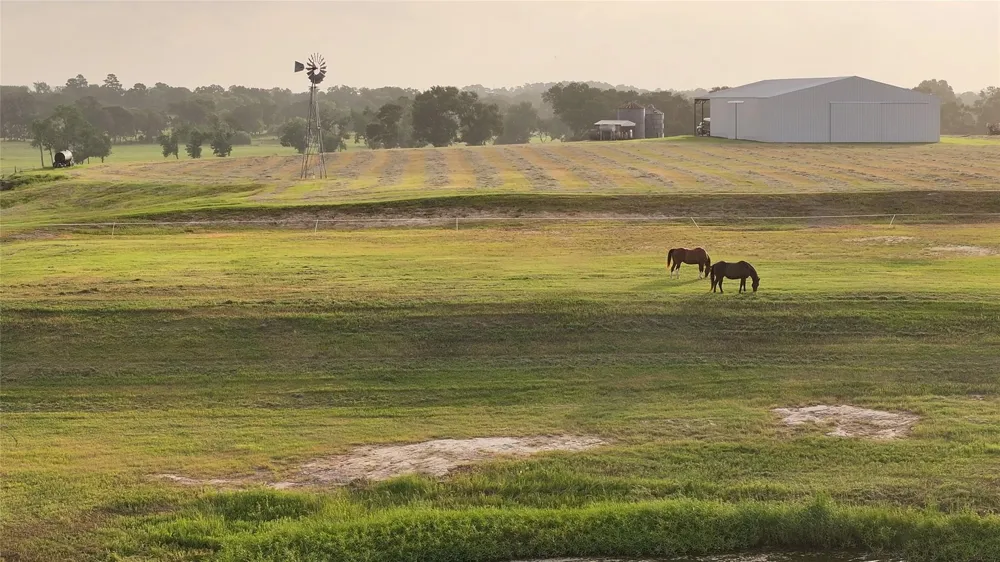 3283 Fm 2562 Road Anderson, TX 77830