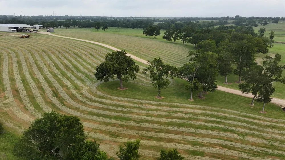 3283 Fm 2562 Road Anderson, TX 77830