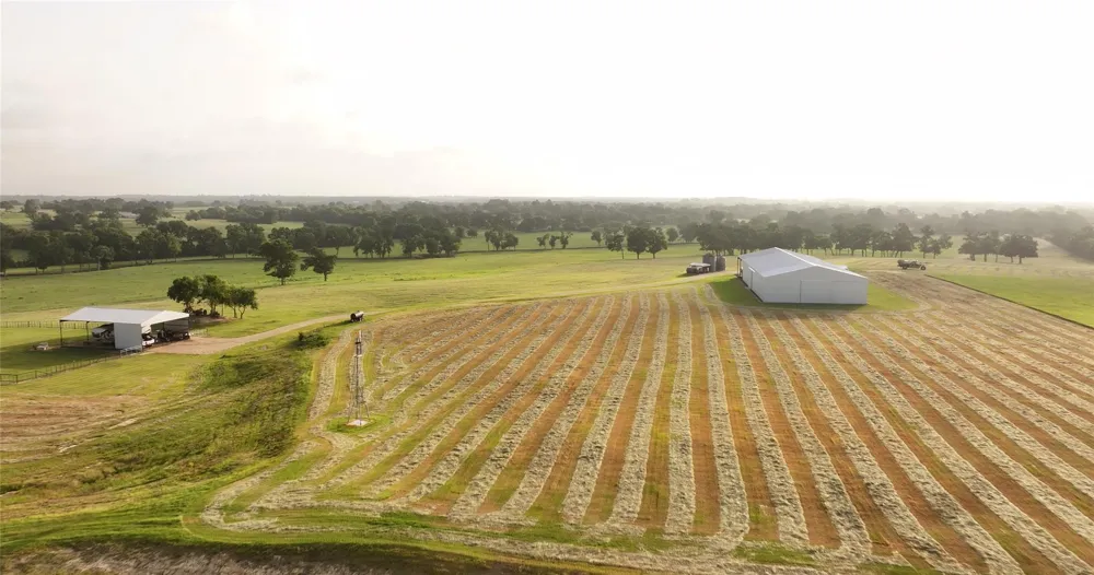 3283 Fm 2562 Road Anderson, TX 77830