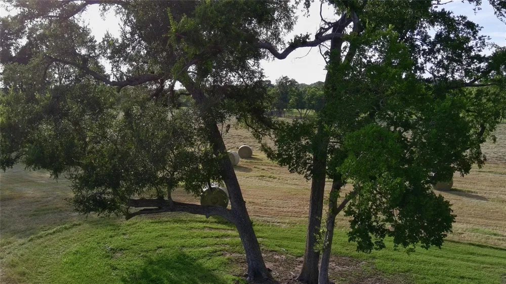 3283 Fm 2562 Road Anderson, TX 77830