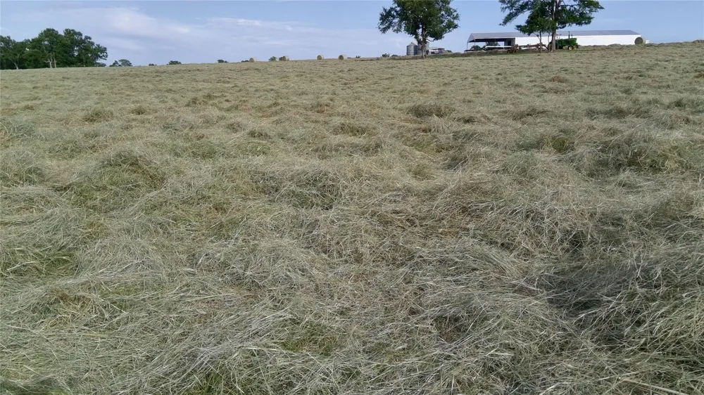 3283 Fm 2562 Road Anderson, TX 77830