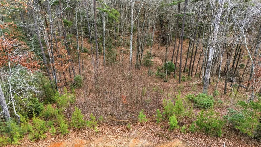 River Club Dr Cullowhee, NC 28723