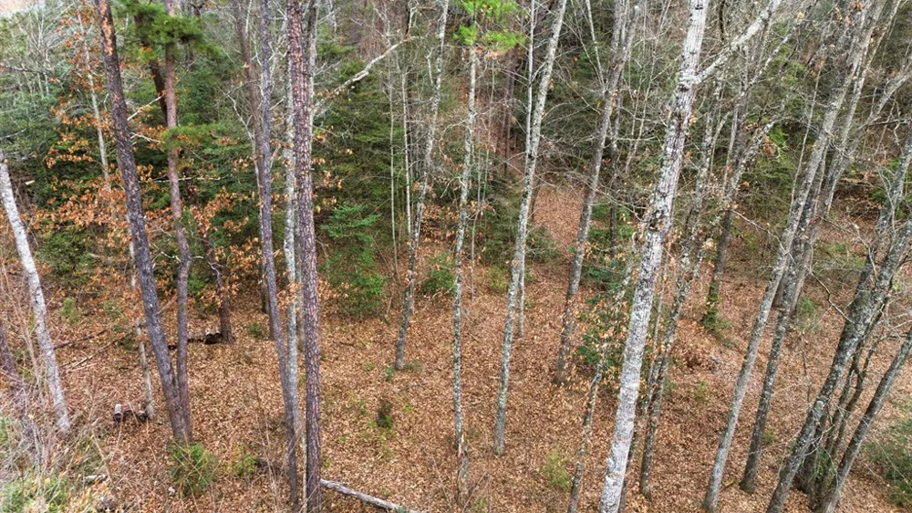 River Club Dr Cullowhee, NC 28723