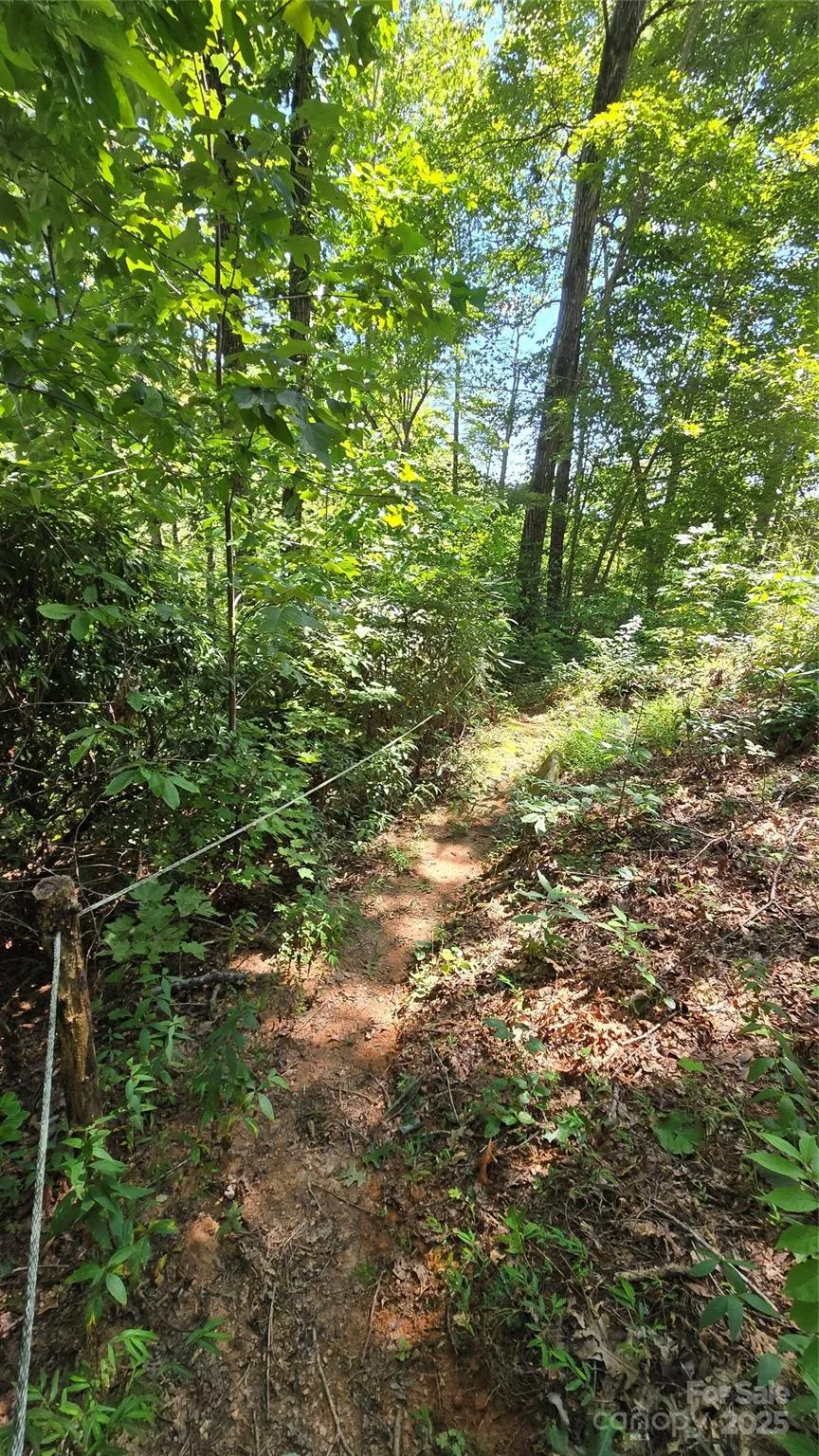 288 Long Ridge Road Old Fort, NC 28762