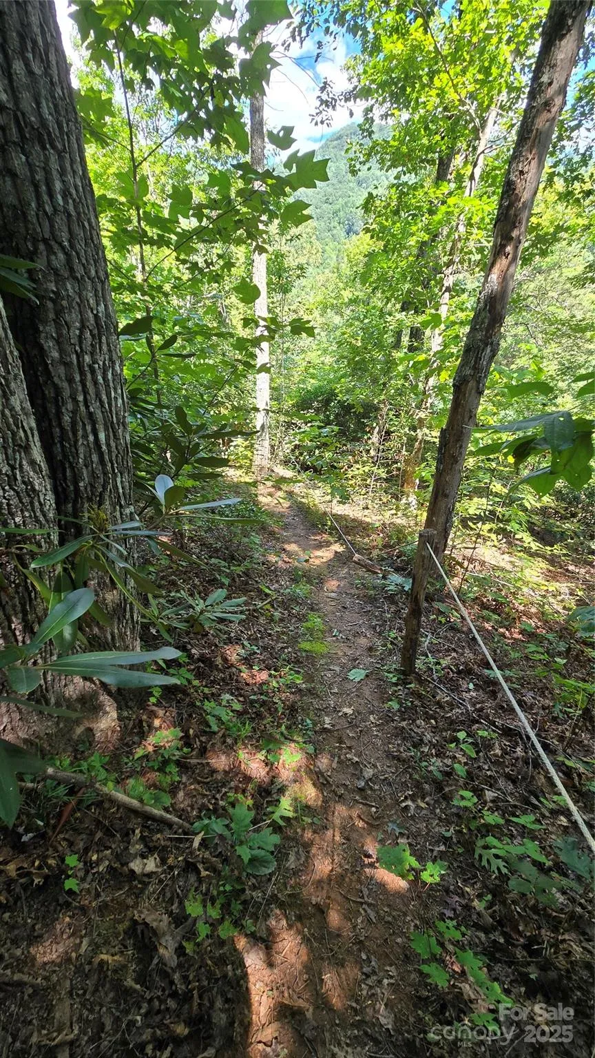 288 Long Ridge Road Old Fort, NC 28762