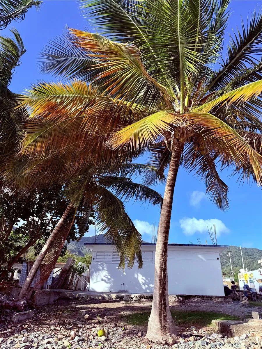 3 ROUTE #KM 114.9 Patillas, PR 00723