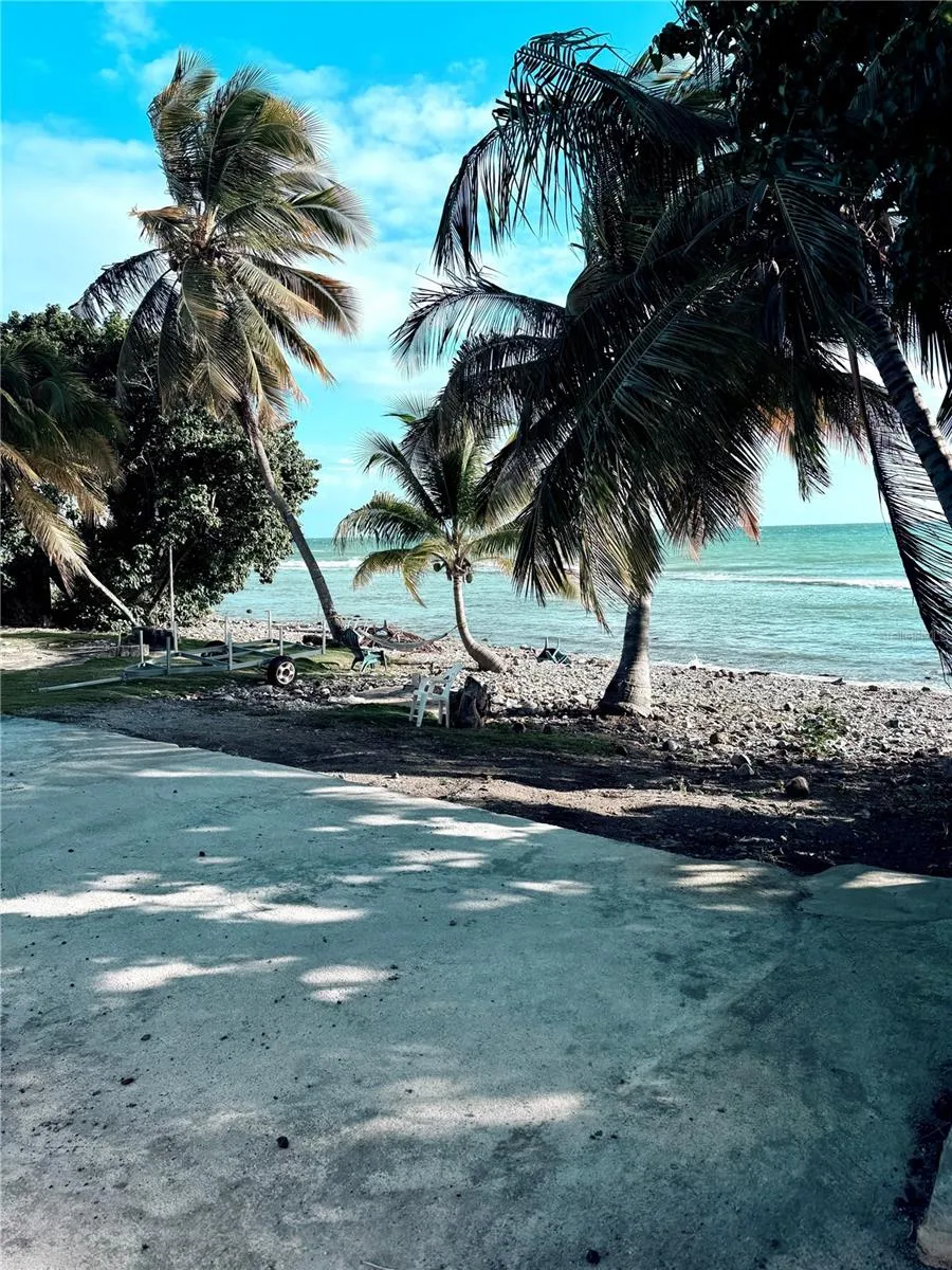 3 ROUTE #KM 114.9 Patillas, PR 00723