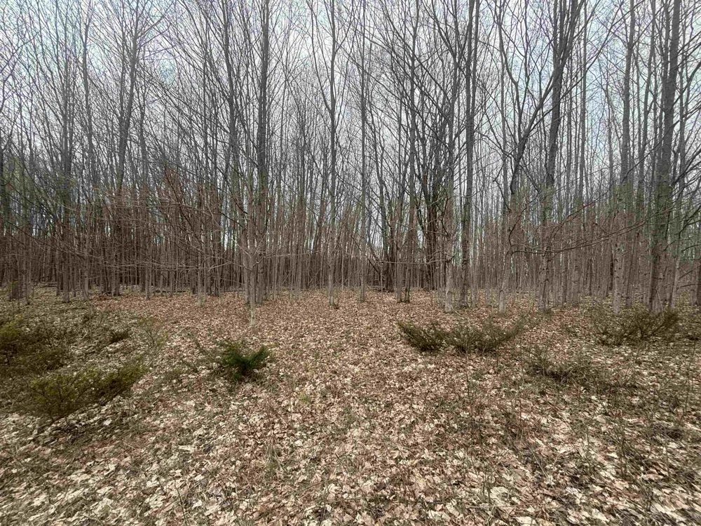 Kilkenny Lane Banks Township, MI 49729
